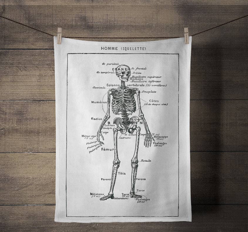 Screen Printed French Skeleton Tea Towel - Box Turtle