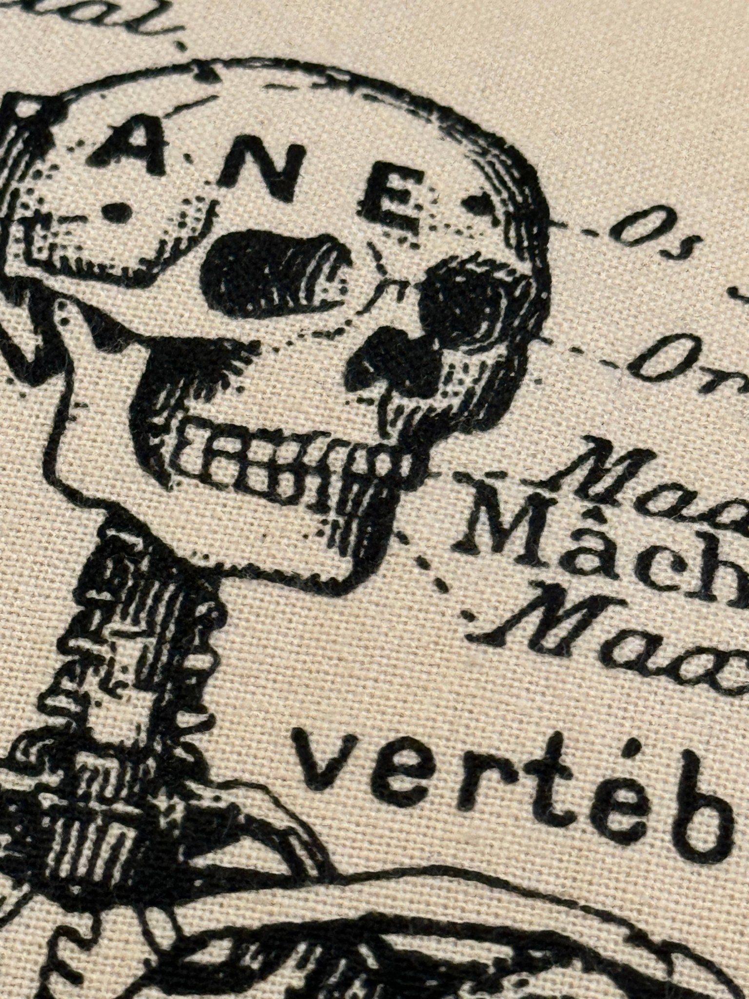 Screen Printed French Skeleton Tea Towel - Box Turtle