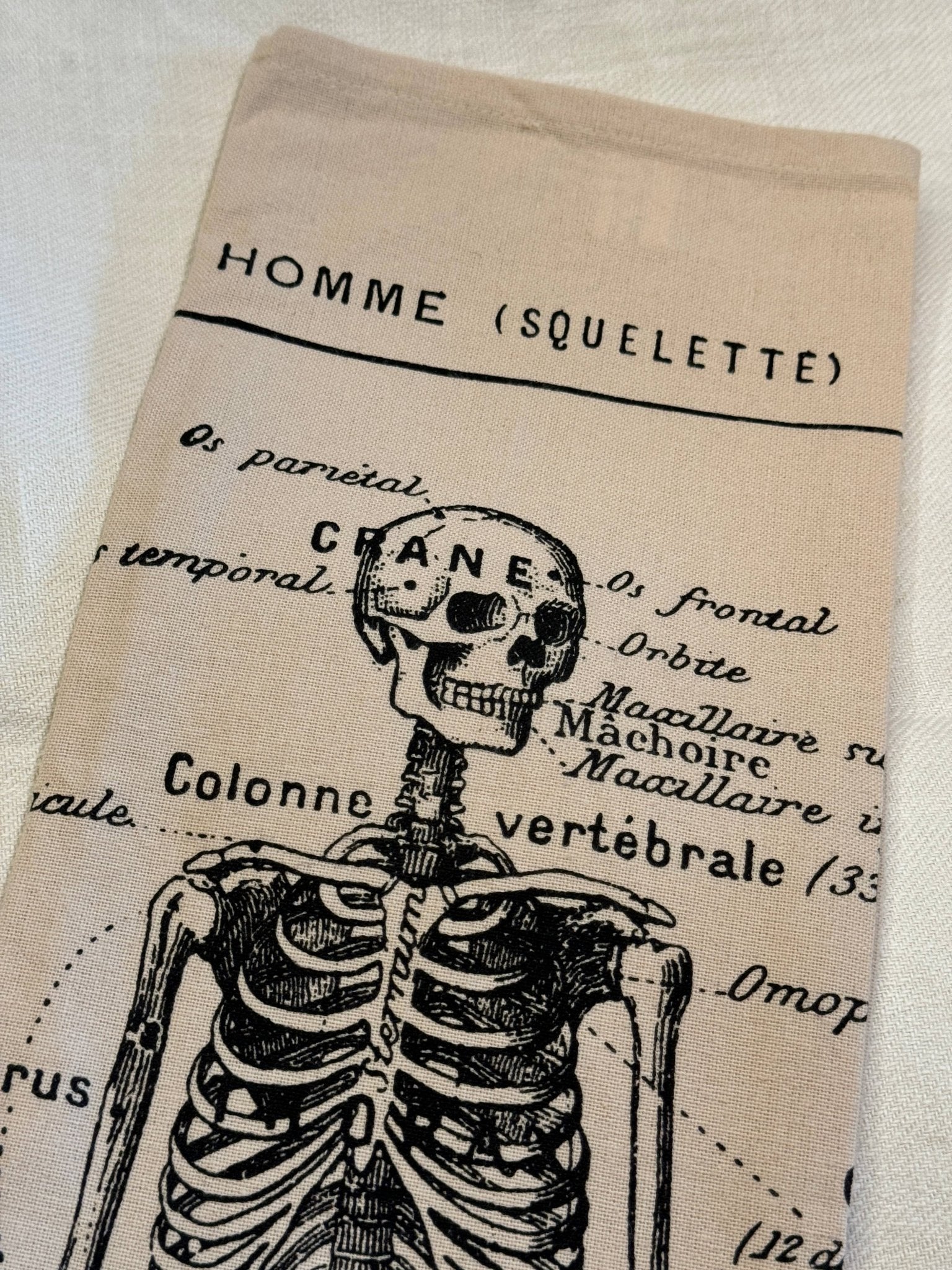 Screen Printed French Skeleton Tea Towel - Box Turtle
