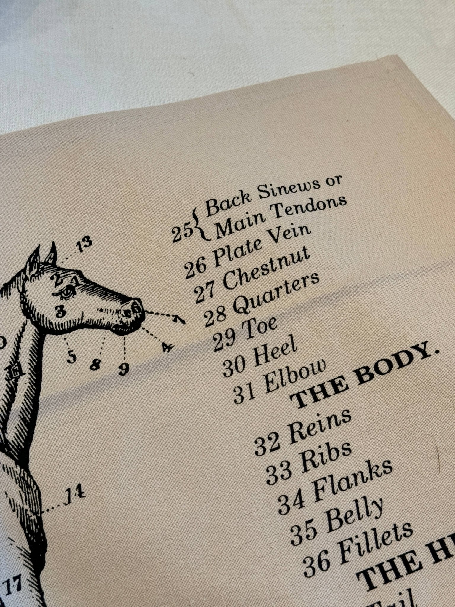 Screen Printed Horse Tea Towel - Box Turtle