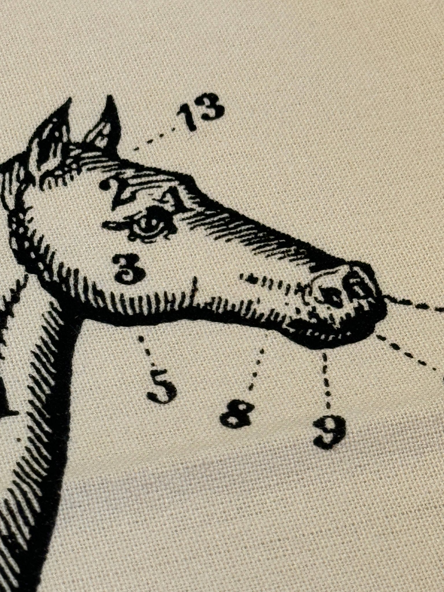 Screen Printed Horse Tea Towel - Box Turtle