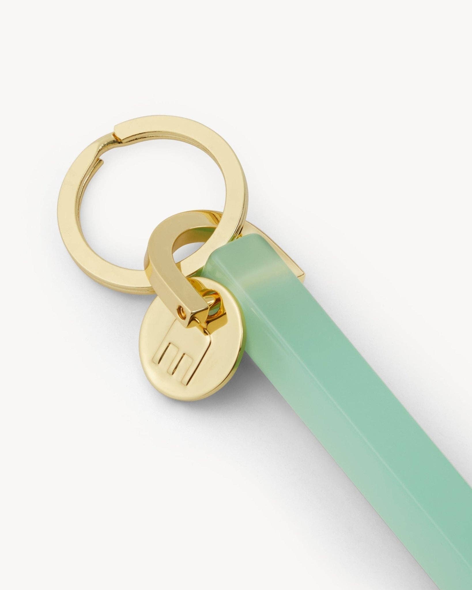 Sea Glass & Gold Bar Keychain - Box Turtle