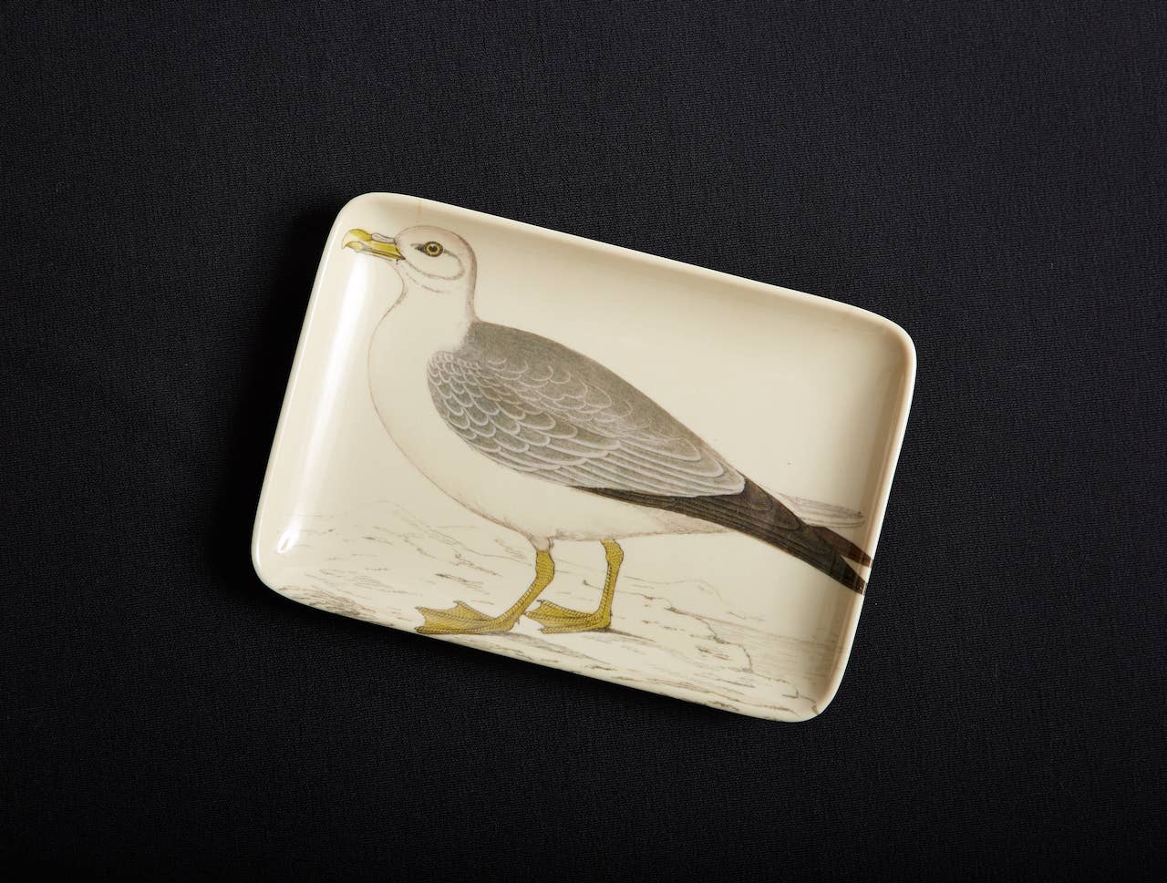 Seagull Valet Tray - Box Turtle