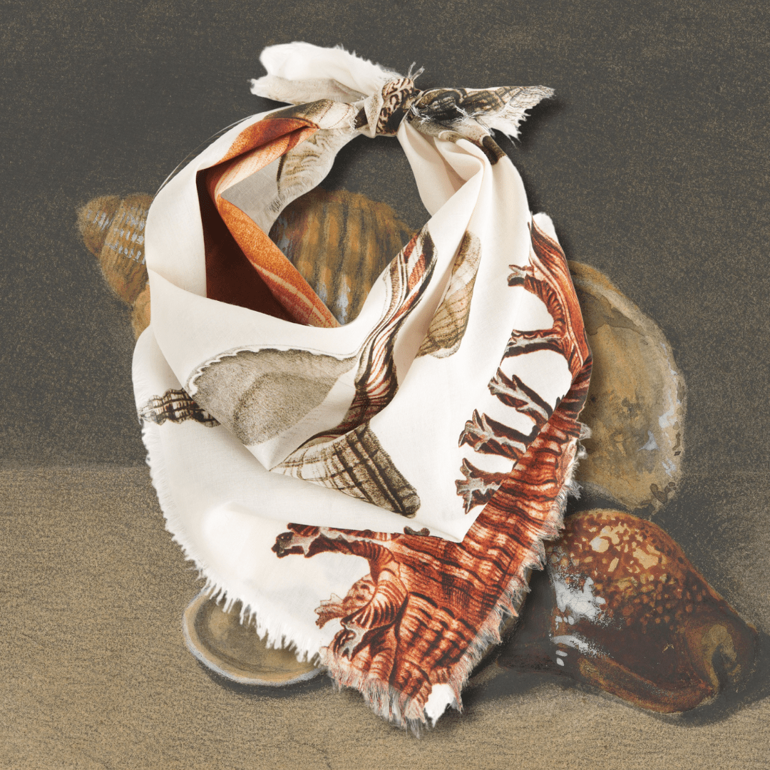 Seashells Voile Bandana - Box Turtle