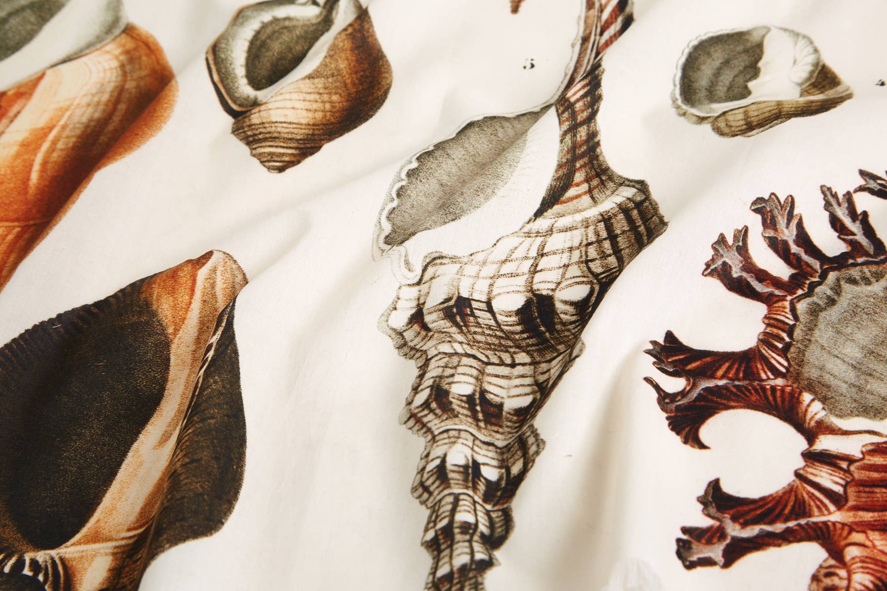 Seashells Voile Bandana - Box Turtle