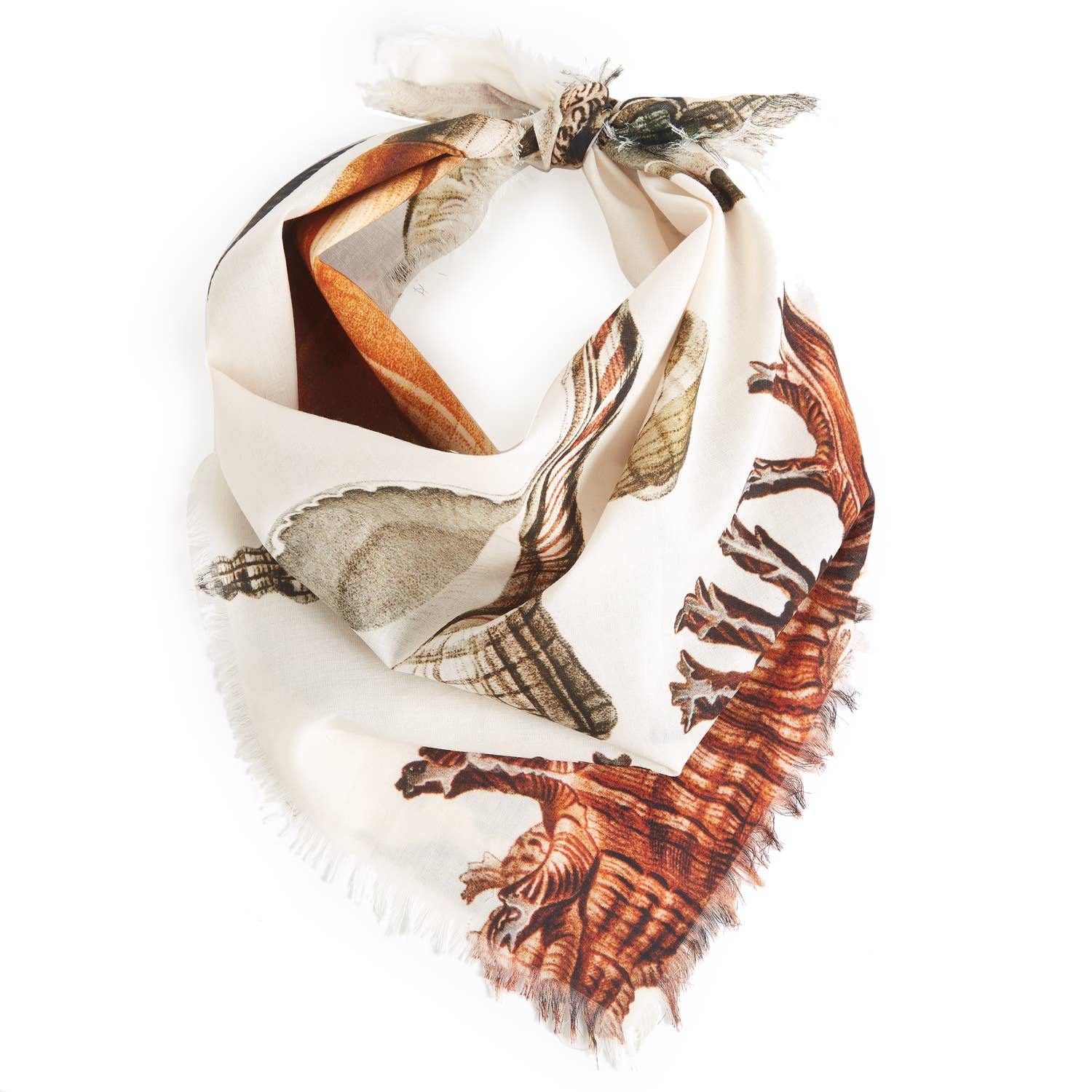 Seashells Voile Bandana - Box Turtle