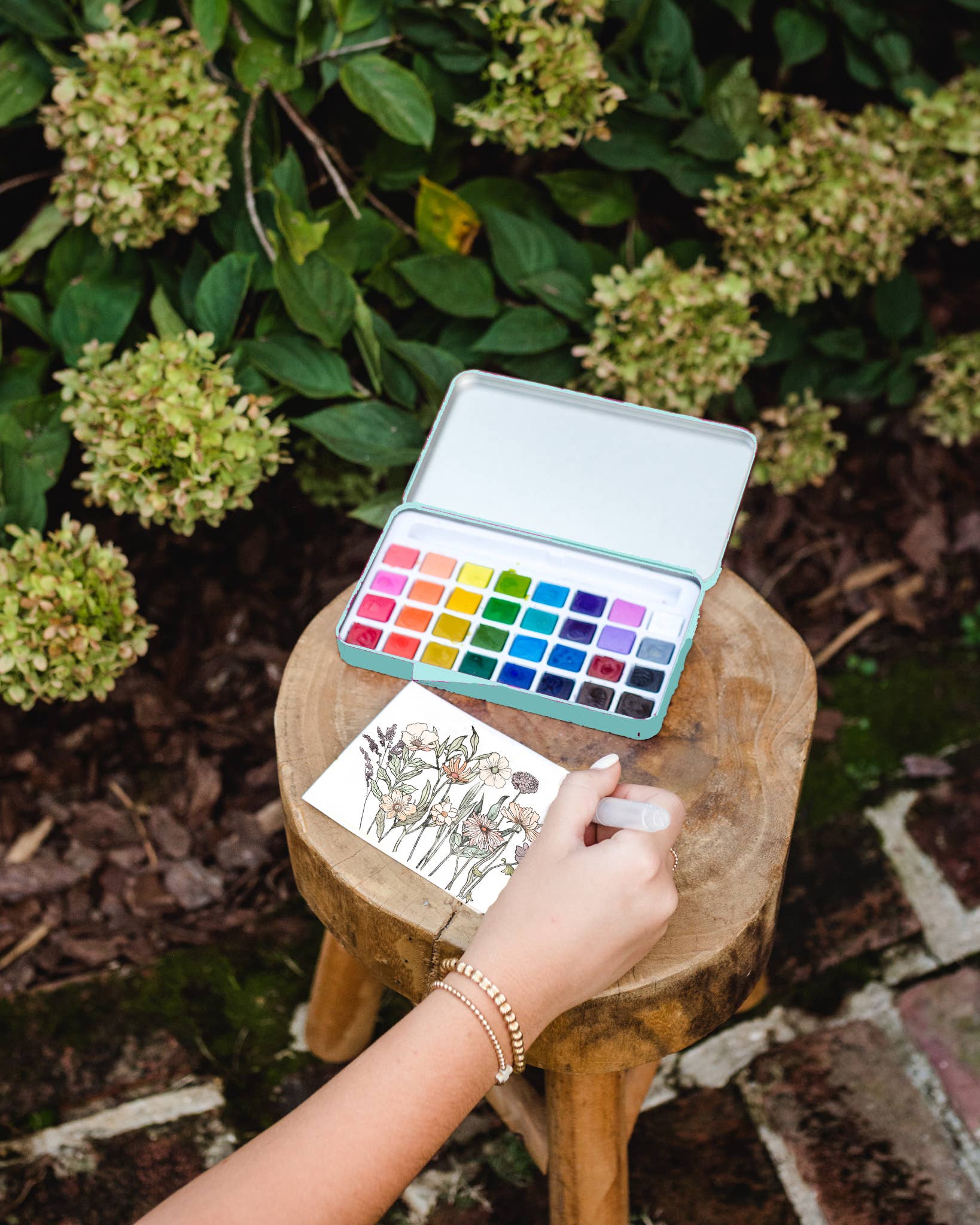 Seaside Studies Watercolor Painting Kit - Box Turtle