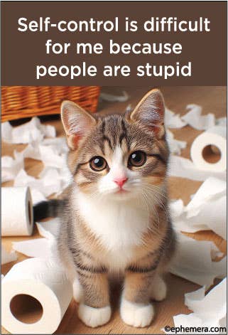 Self - Control is difficult for me because people…. - Box Turtle
