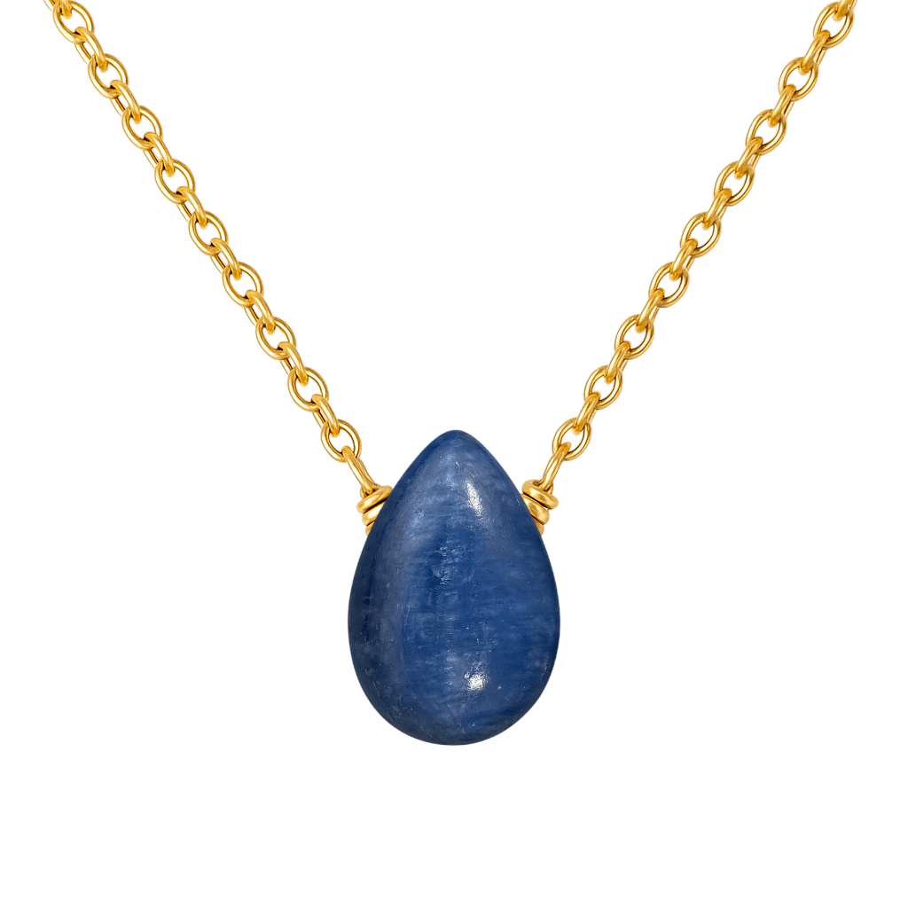 Semi Precious Gold Necklace - Box Turtle