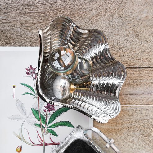 Shell Coin Dish - Box Turtle
