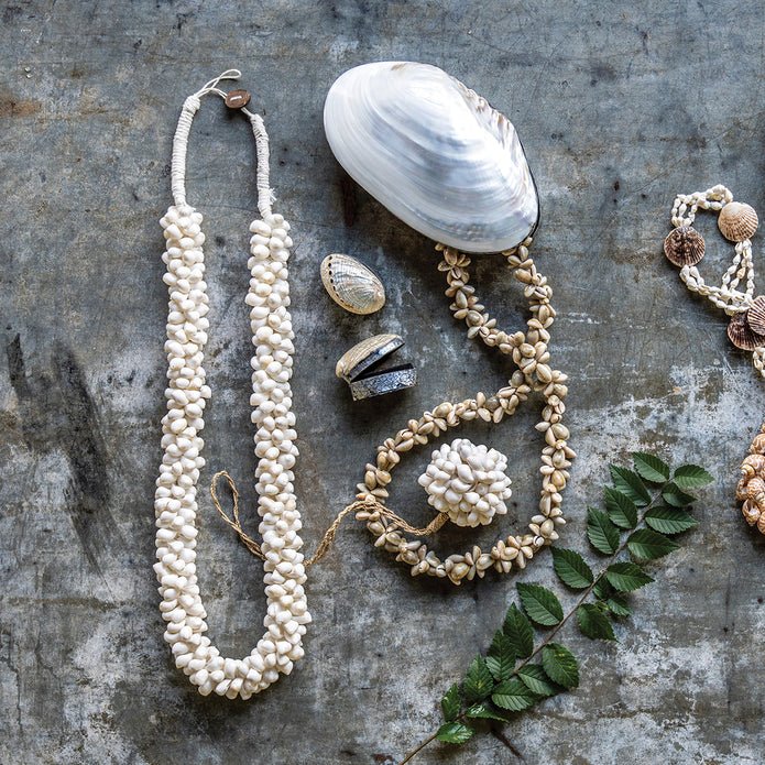 Shell Trinket Box - Box Turtle