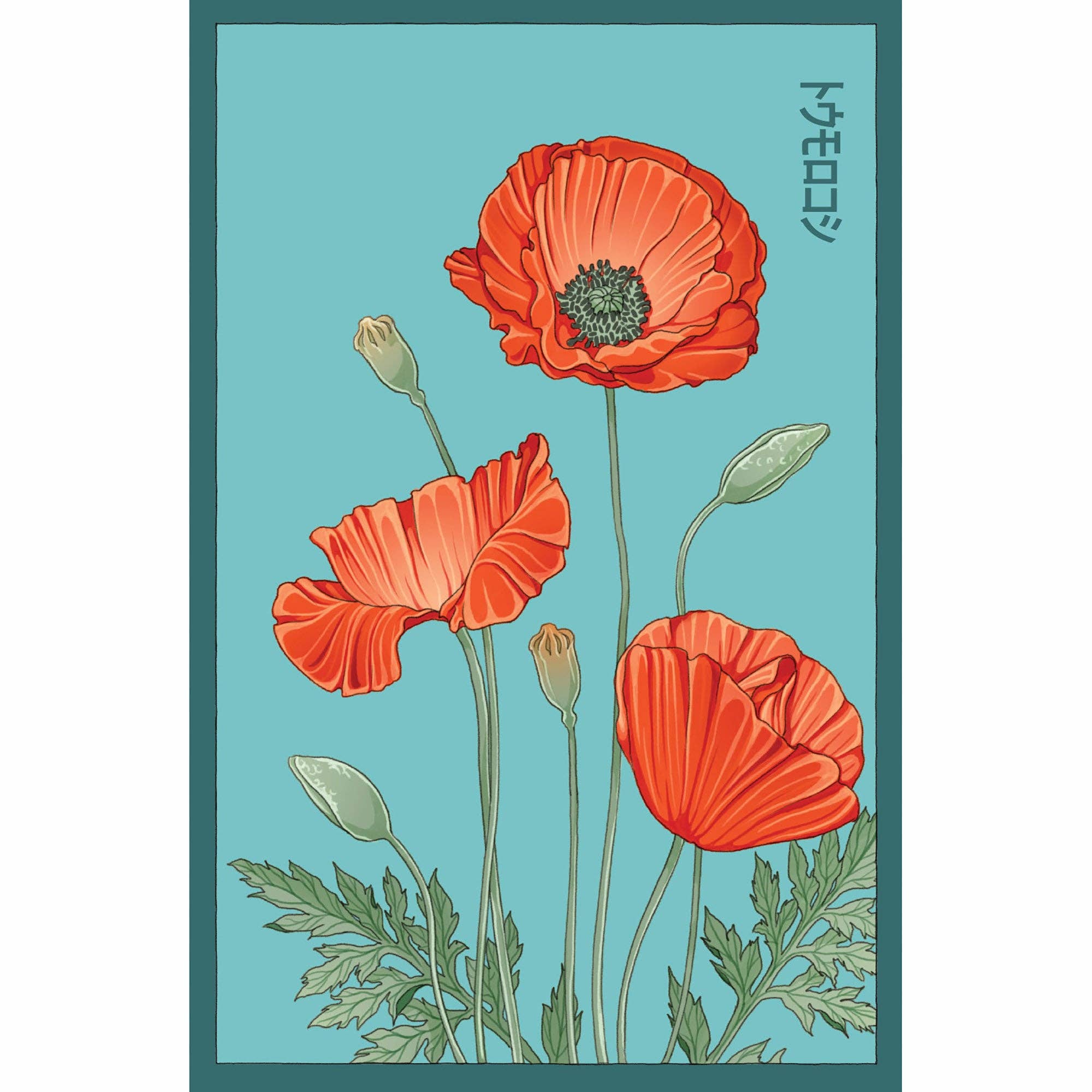 Shido Seeds: Corn Poppy Flower Seeds Packet - Box Turtle