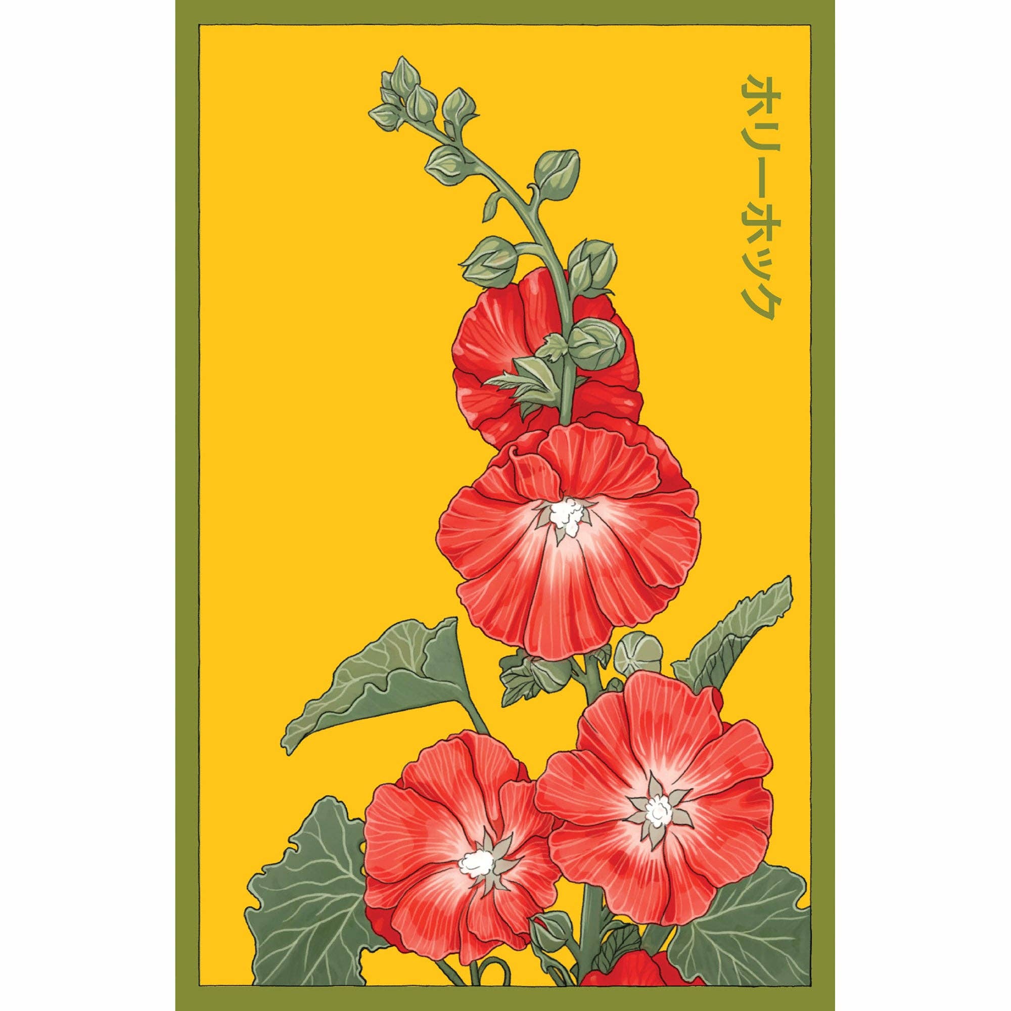 Shido Seeds: Hollyhock Flower Seeds Packet - Box Turtle