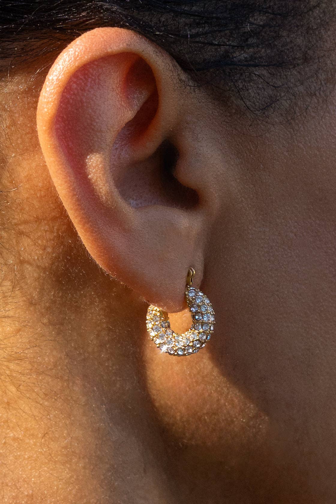 Shimmer Mini Hoops - Box Turtle