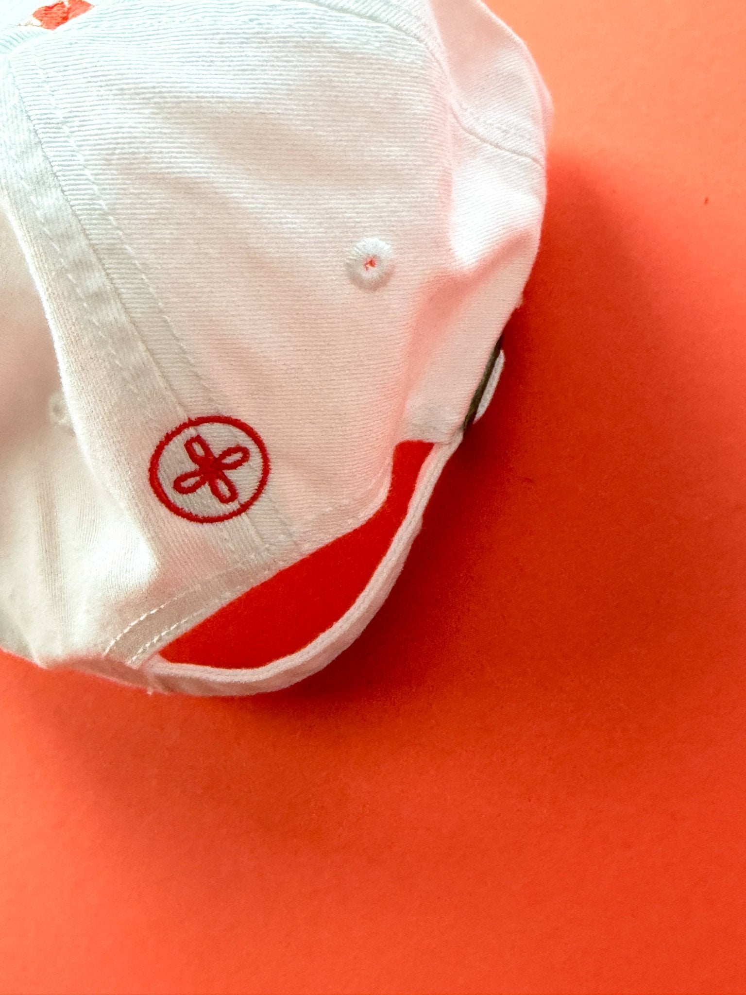 Shrimp Baseball Cap - Box Turtle