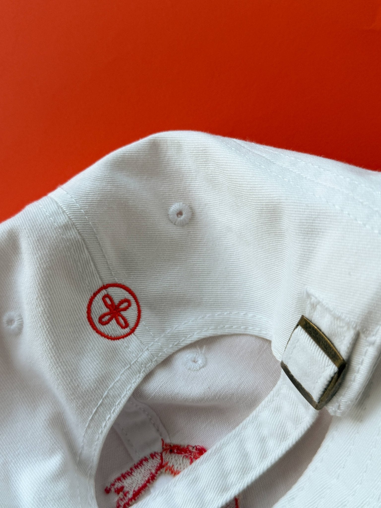 Shrimp Baseball Cap - Box Turtle