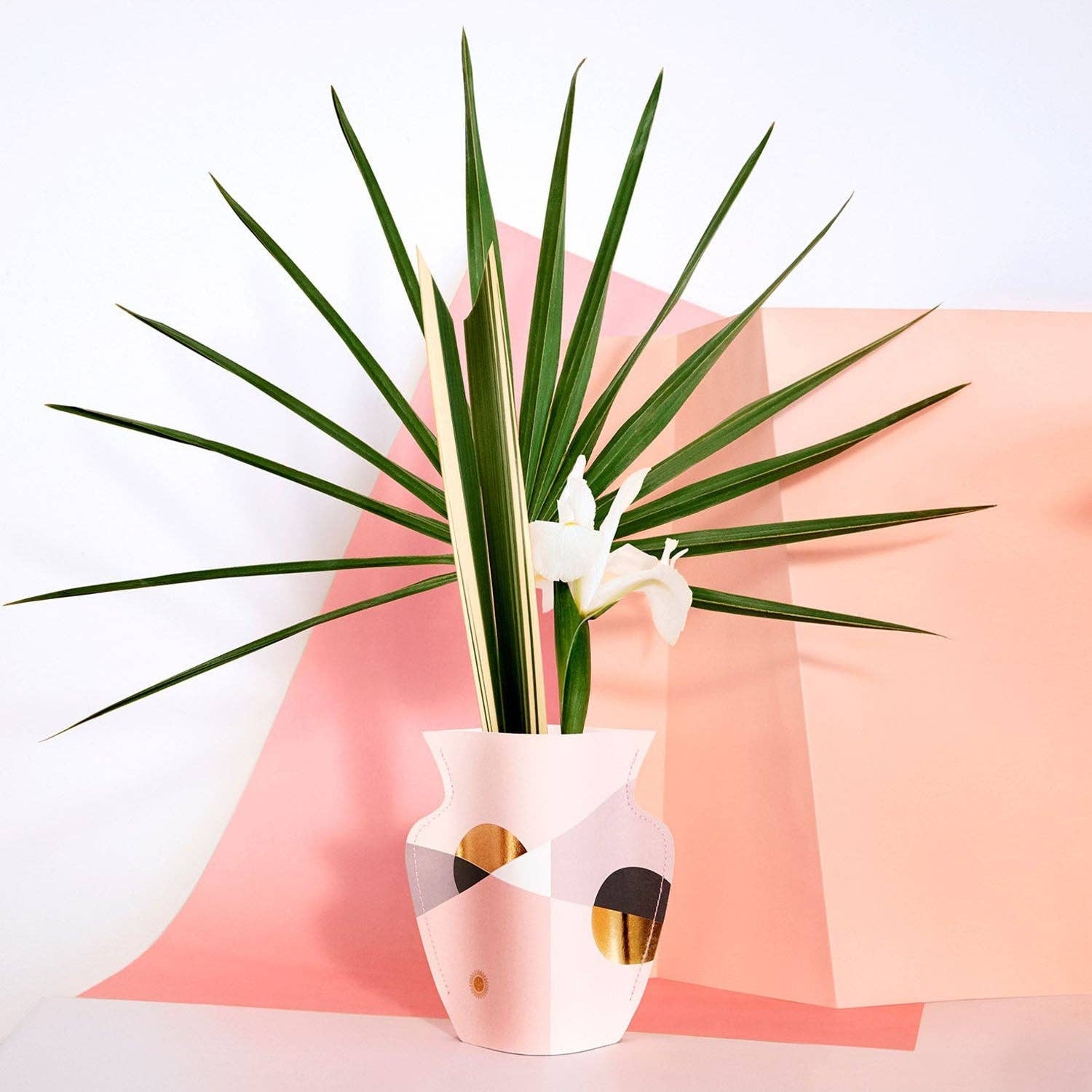Siena Paper Vase - Mini - Box Turtle