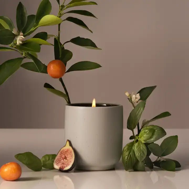 Signature Candle - Mandarin Basile - Box Turtle