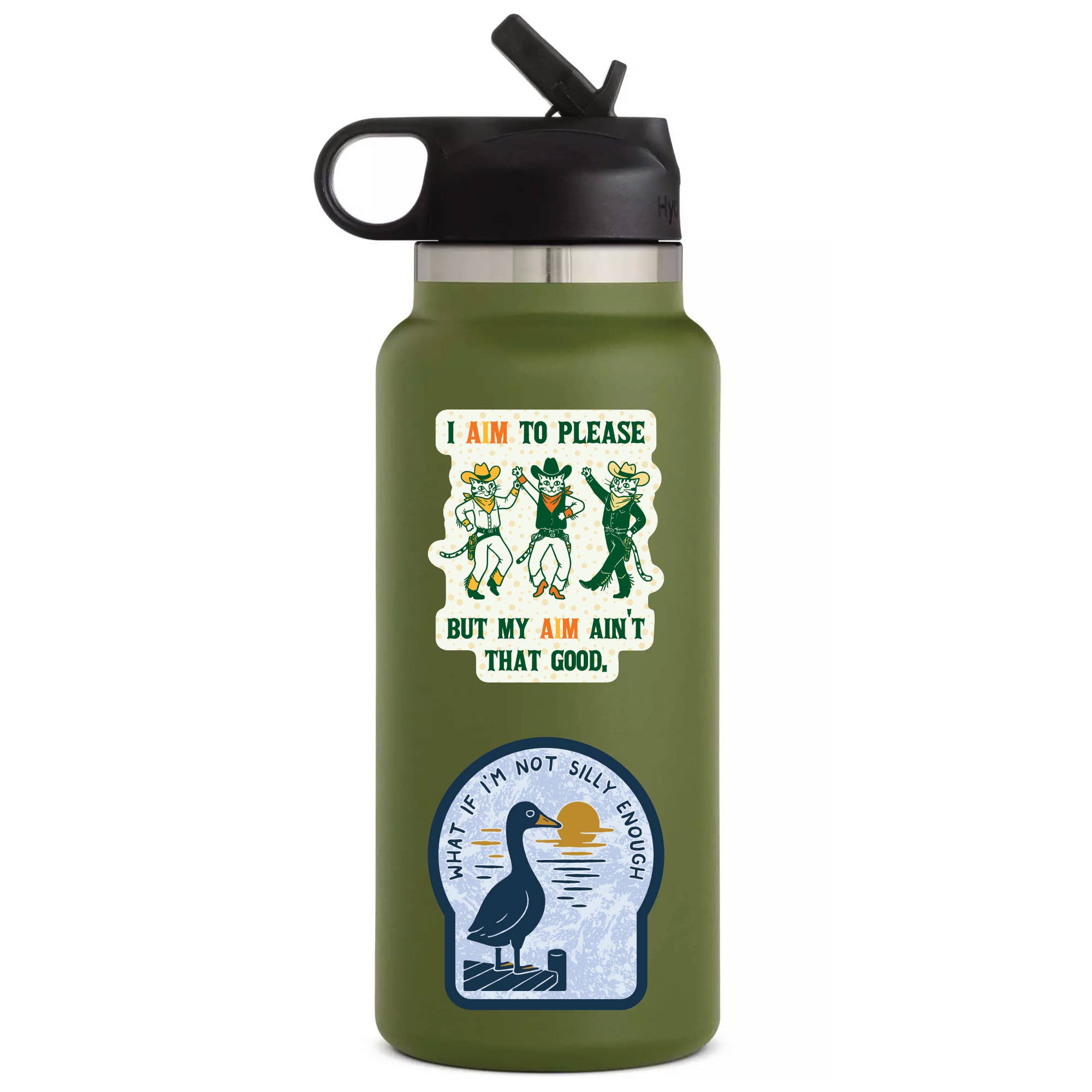 Silly Goose Funny Ironic Vinyl Sticker - Box Turtle