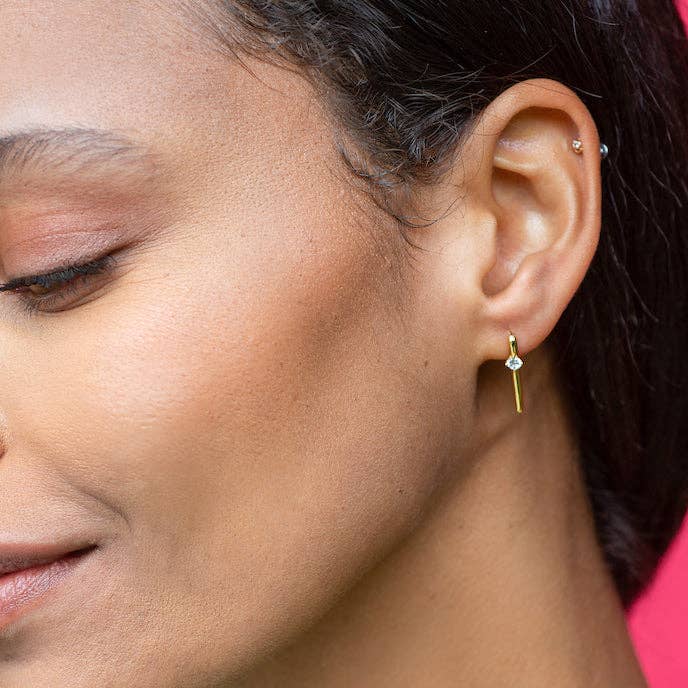 Silver Arc Pull Through Crystal Hoops - Box Turtle