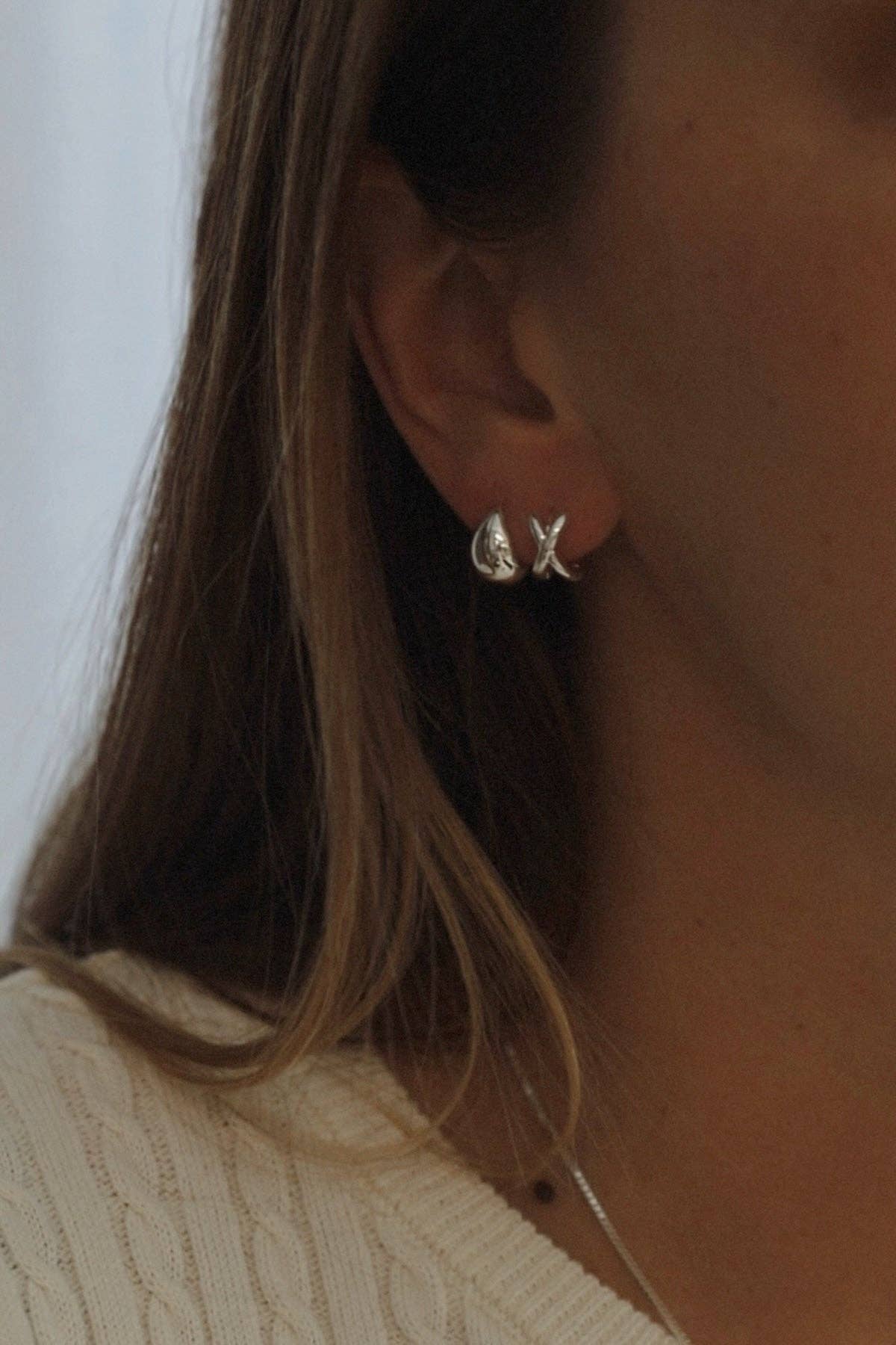 Silver Dome Earrings - Box Turtle