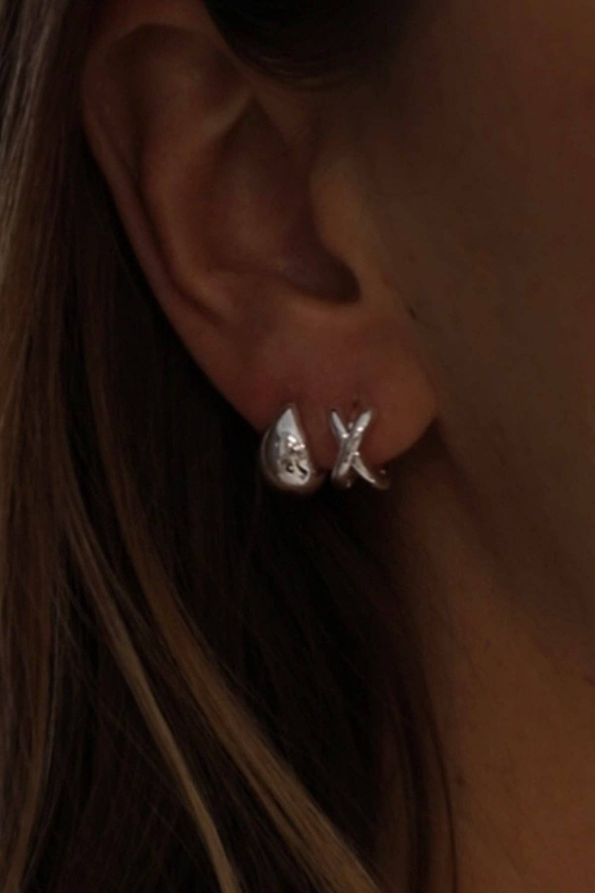Silver Dome Earrings - Box Turtle