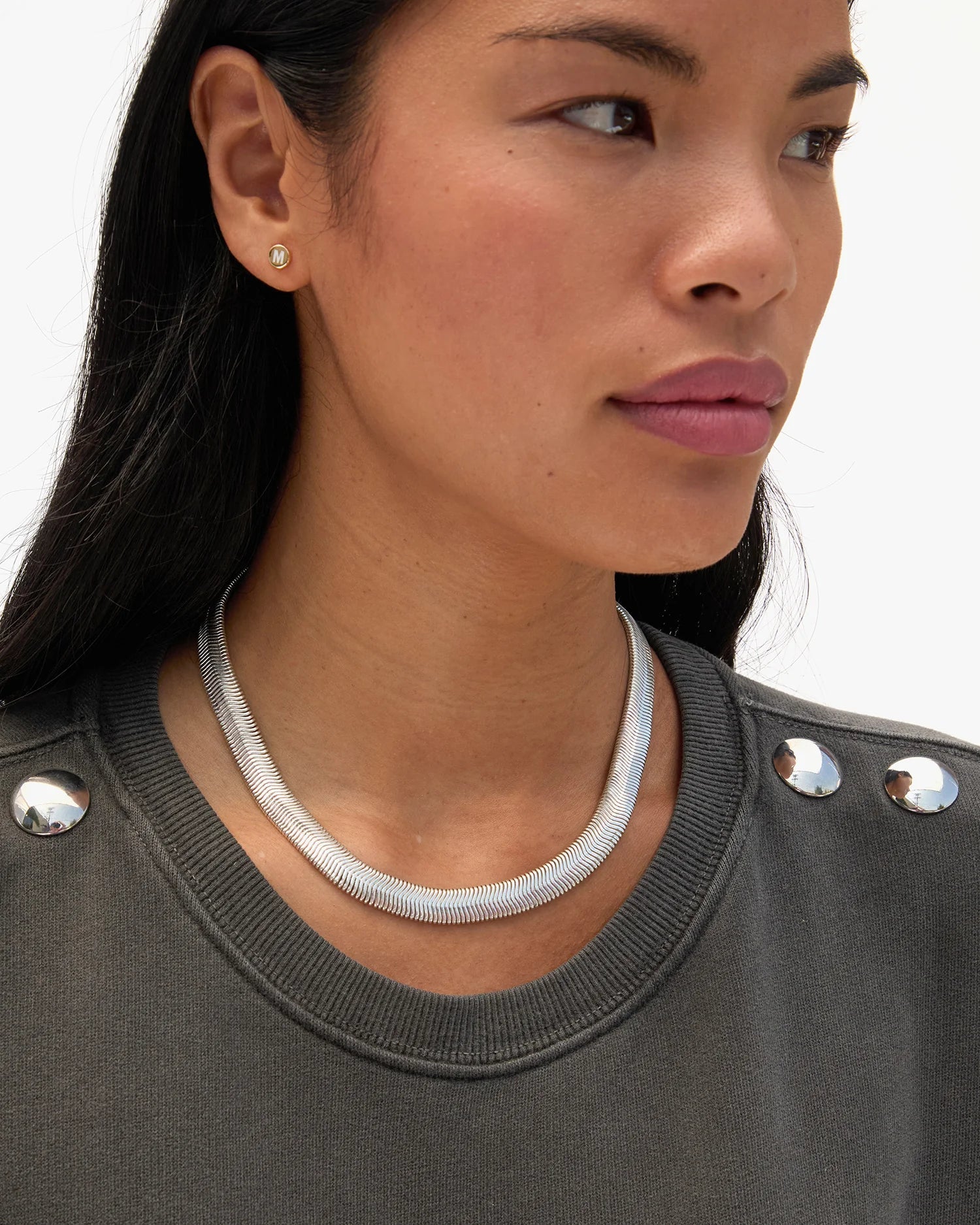 Silver Snake Chain Collar - Box Turtle