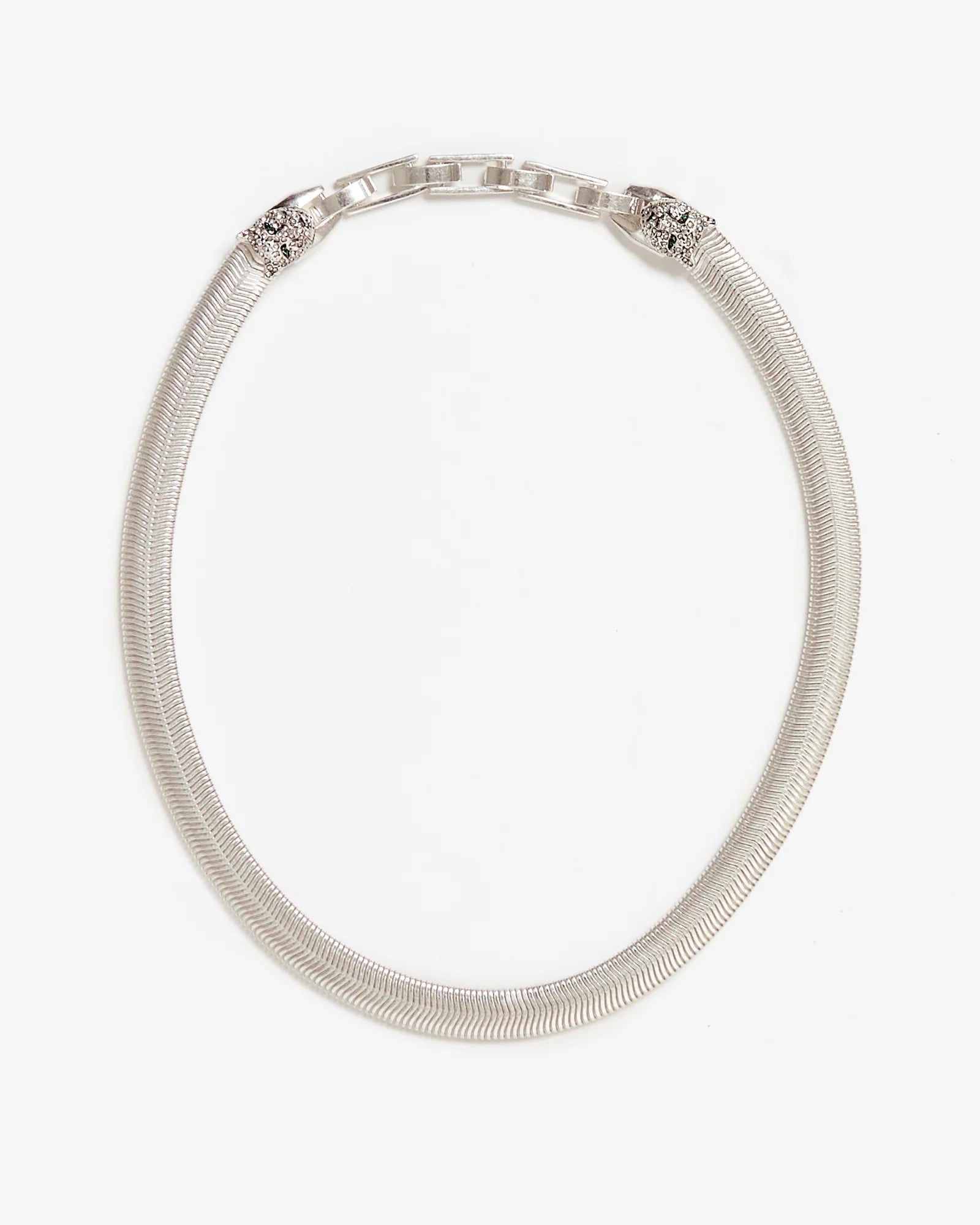 Silver Snake Chain Collar - Box Turtle