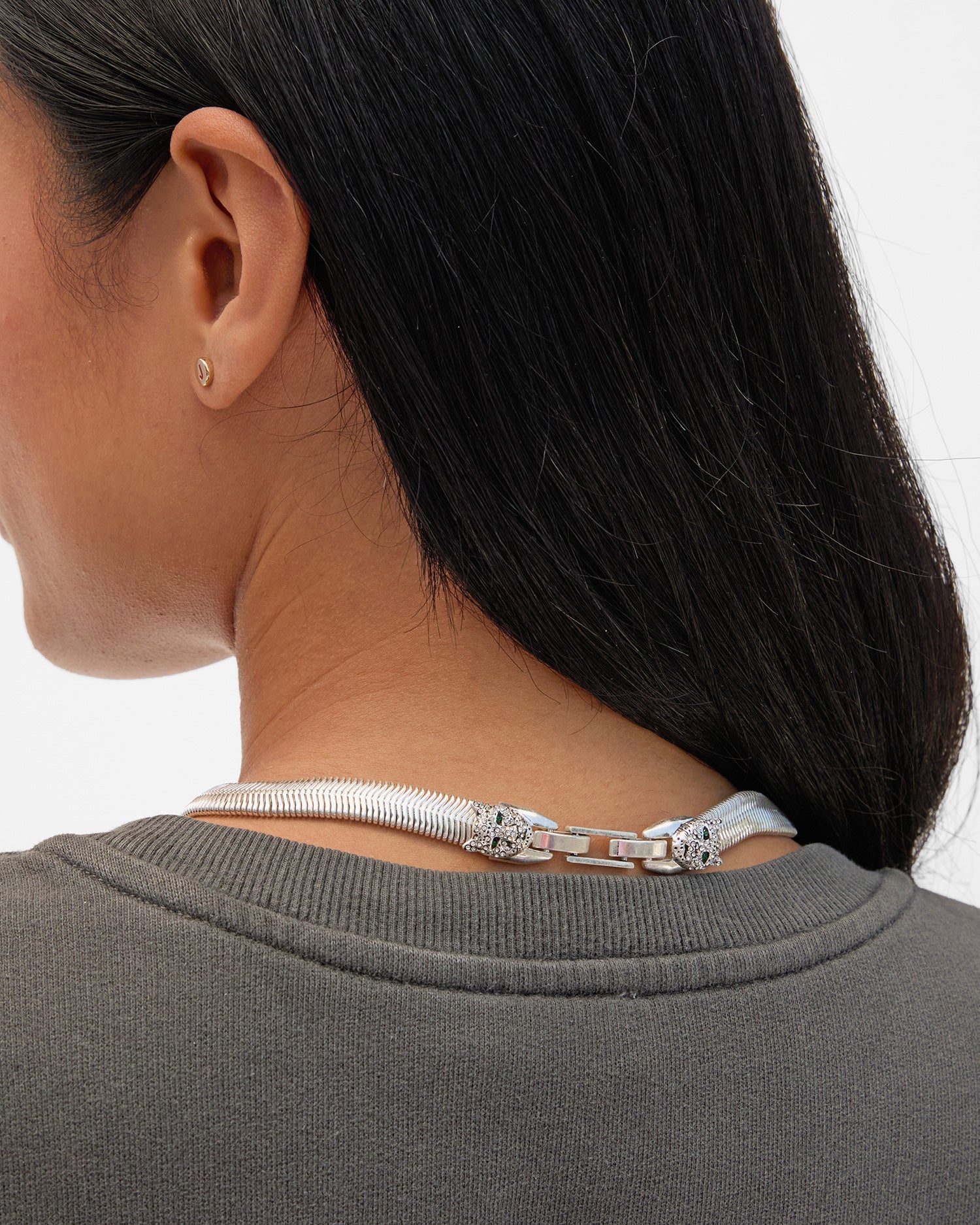 Silver Snake Chain Collar - Box Turtle