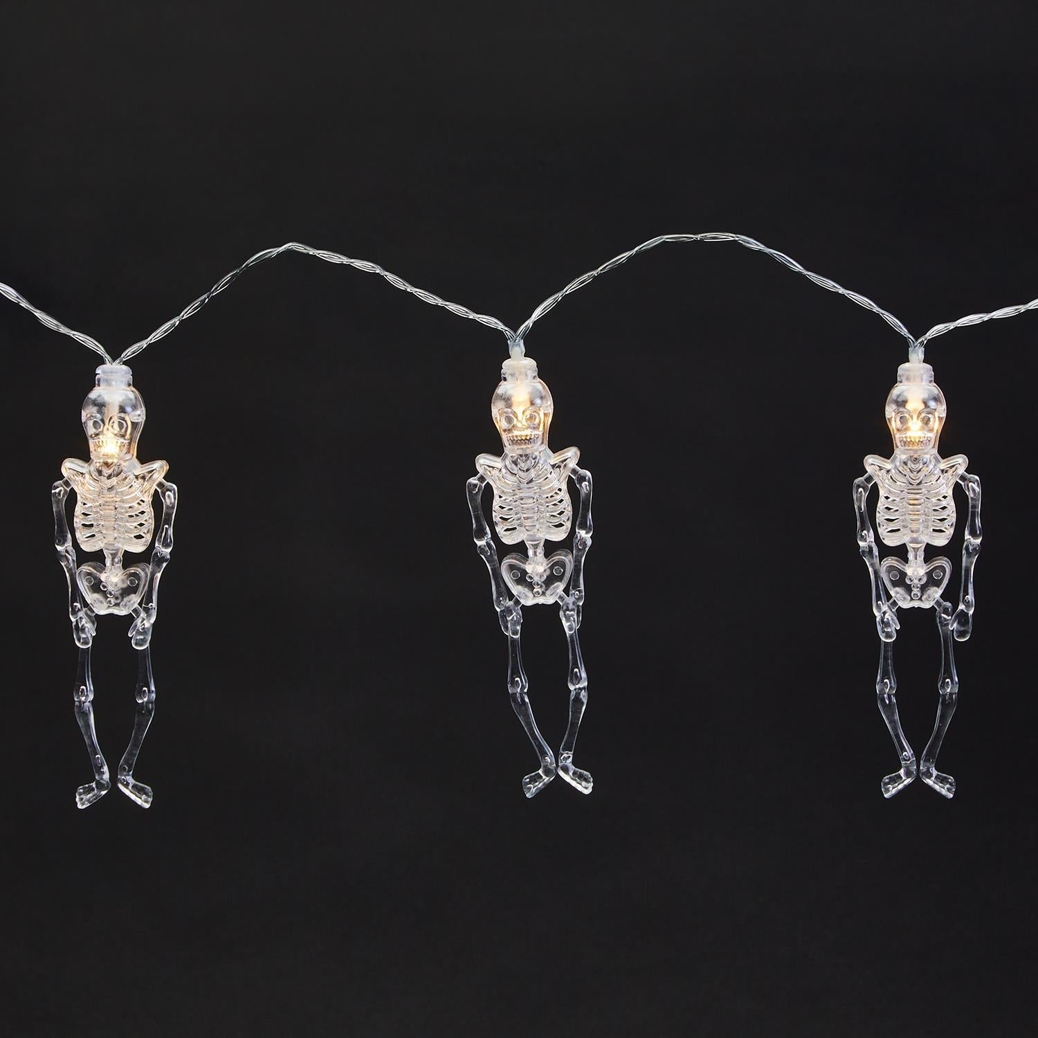 Skeleton LED Lights - Box Turtle