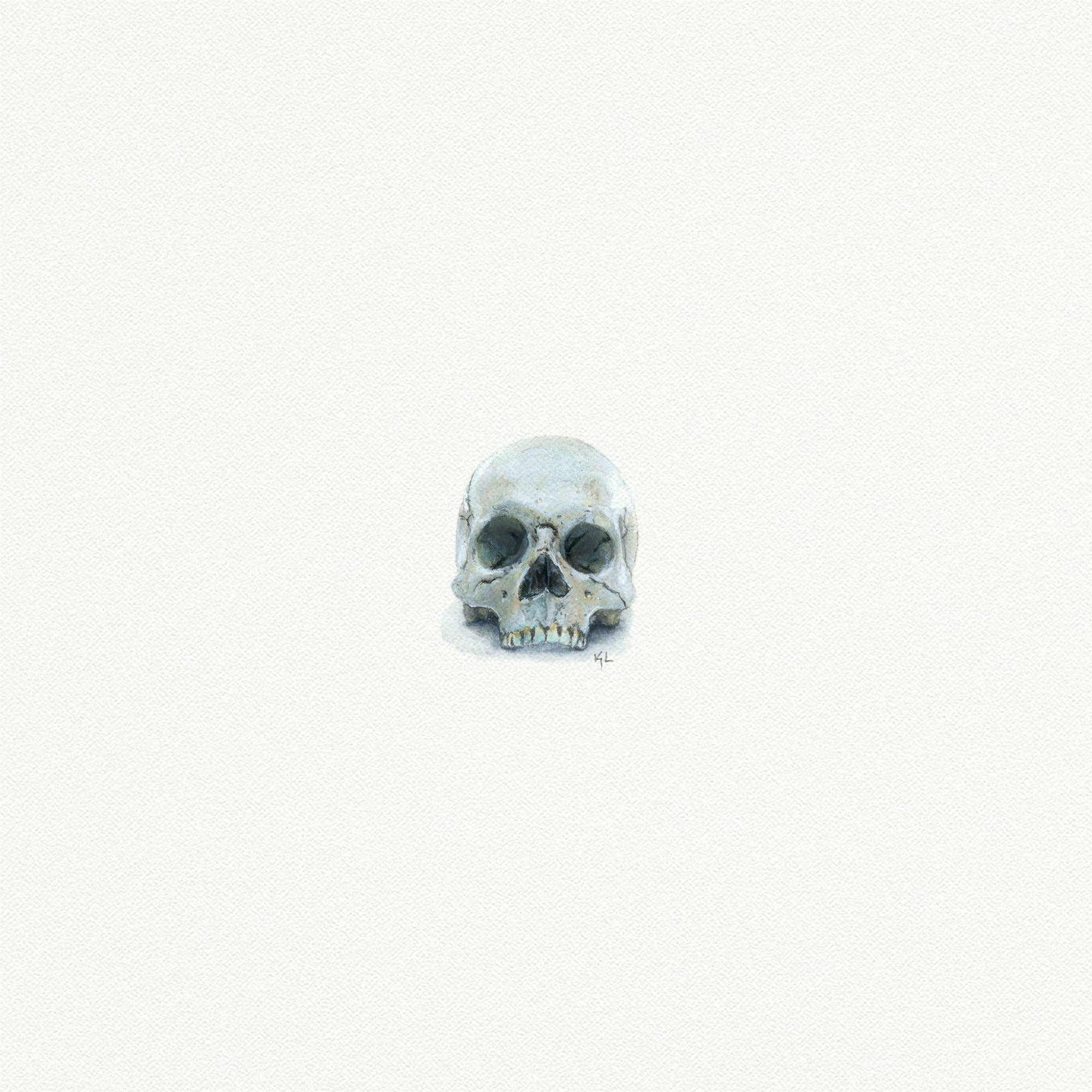 Skull Miniature Watercolor Painting - Box Turtle