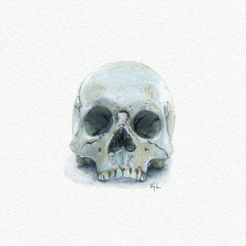 Skull Miniature Watercolor Painting - Box Turtle