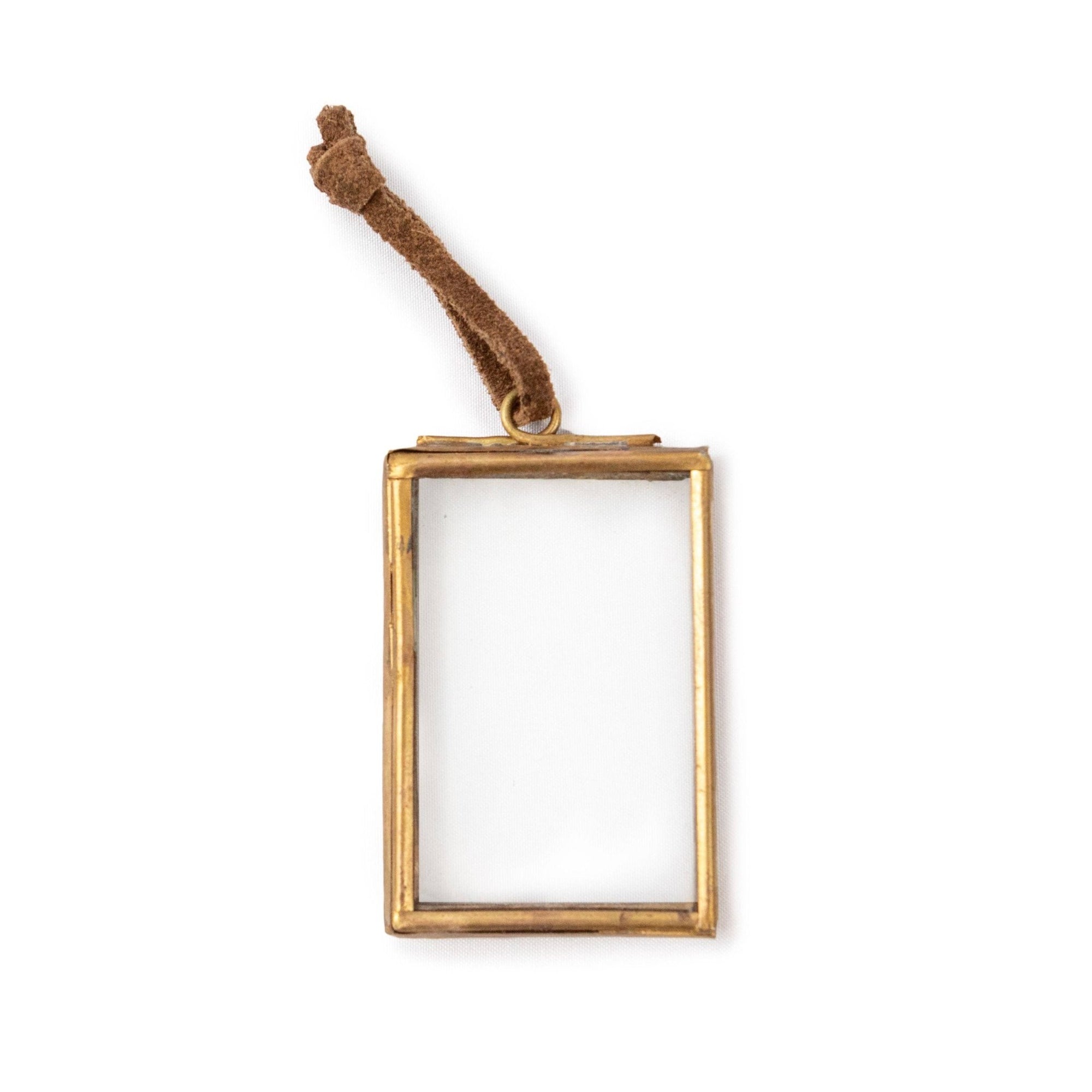 Small Ornament Frame with Brass Finish - Box Turtle