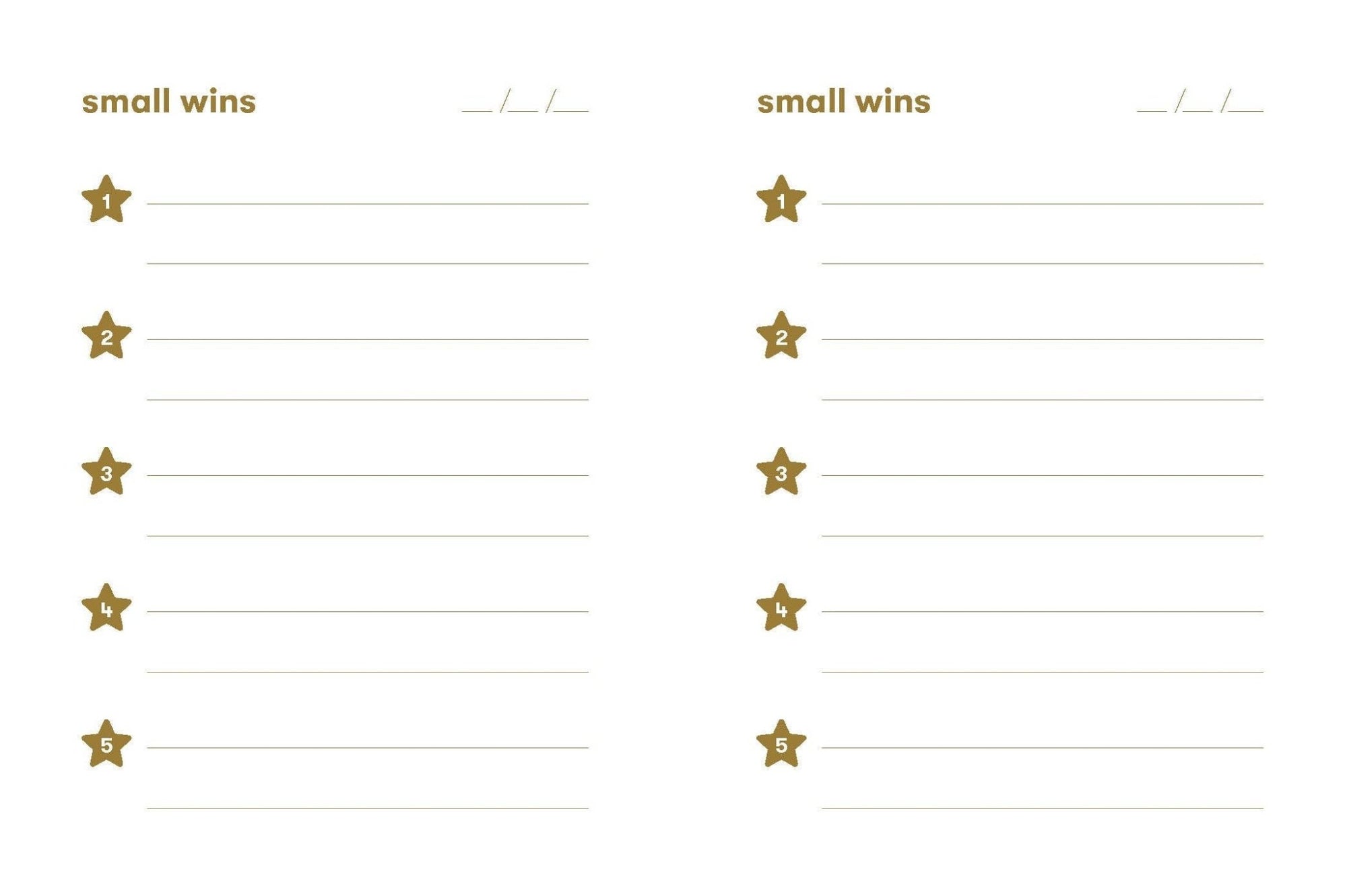 Small Wins - Box Turtle