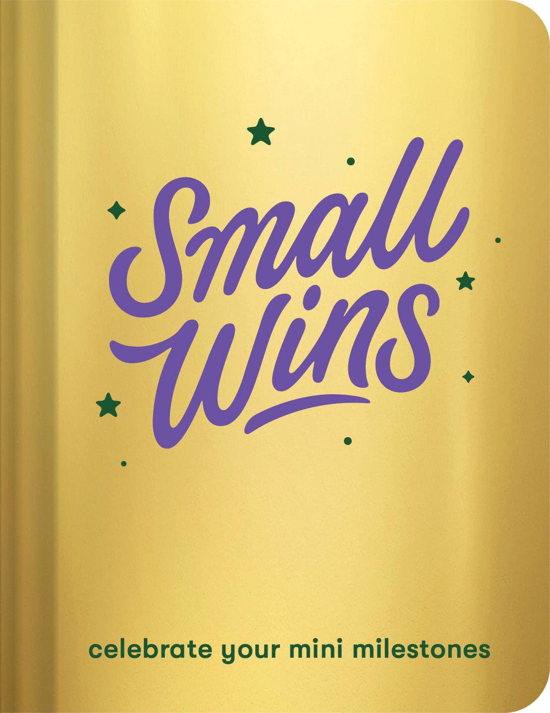 Small Wins - Box Turtle