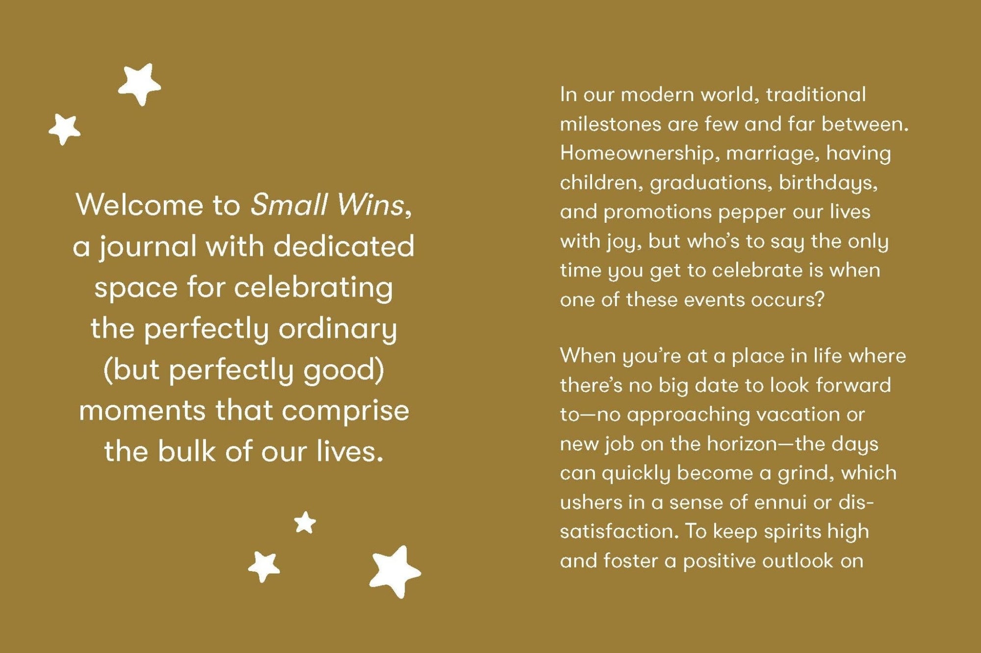 Small Wins - Box Turtle