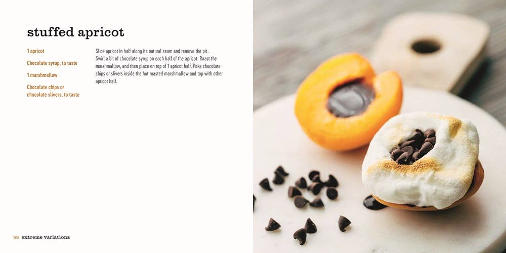 S'mores: Campfire Cooking - Box Turtle