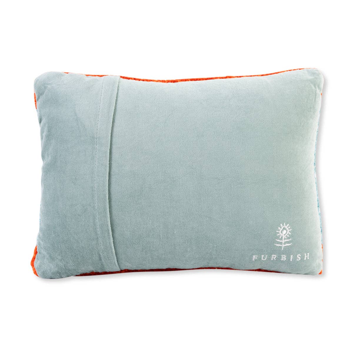Snacc Pillow - Box Turtle