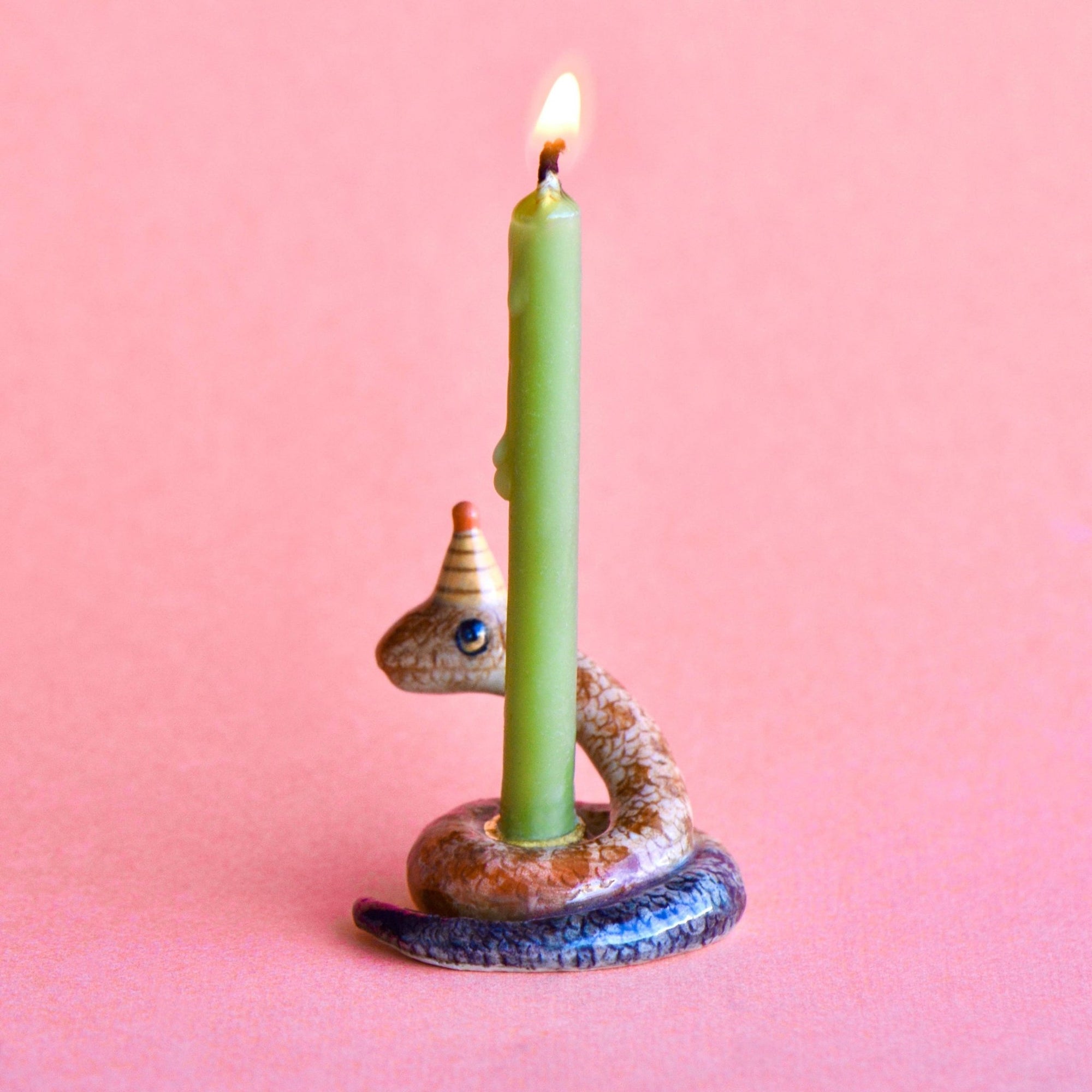 Snake Cake Topper - Box Turtle