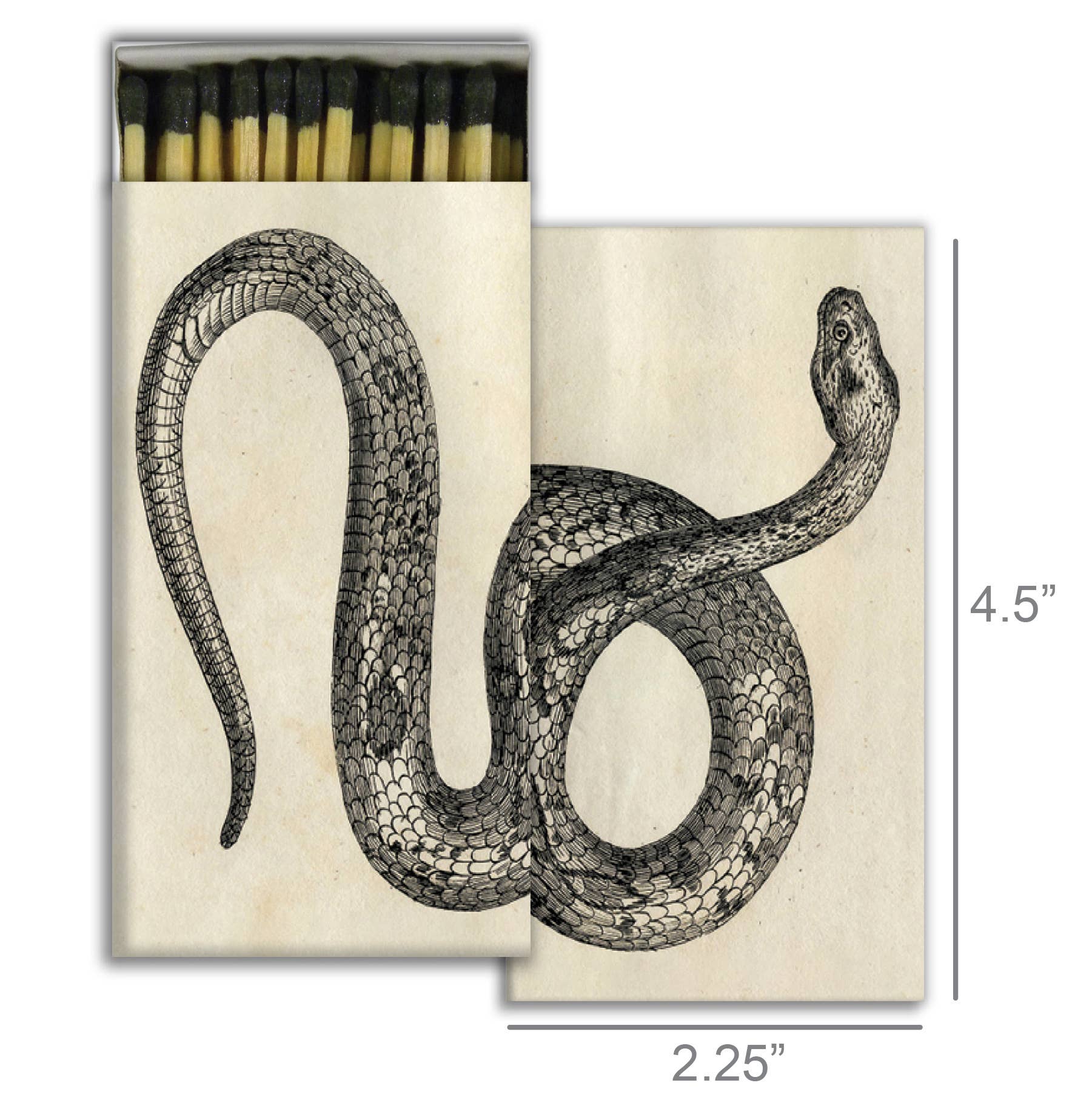 Snake Matches - Box Turtle