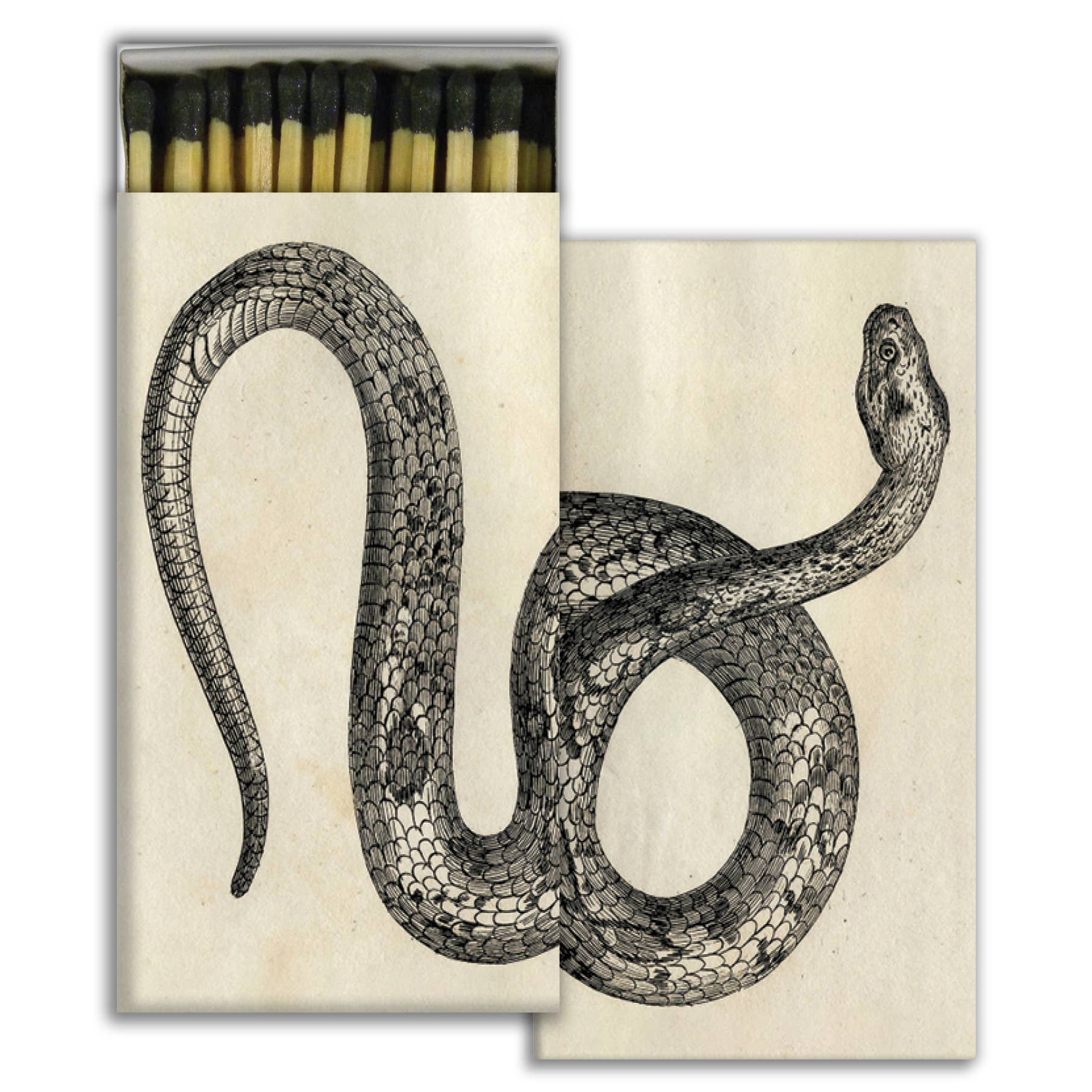 Snake Matches - Box Turtle