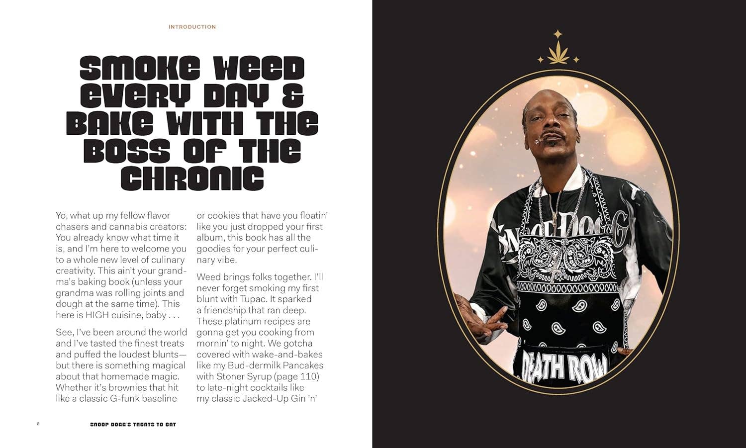 Snoop Dogg’s Treats to Eat - Box Turtle