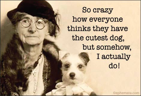 So crazy how everyone thinks - Box Turtle