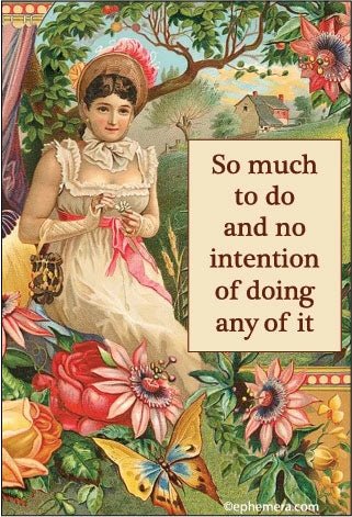 So Much To Do and No Intention of Doing Any of It - Box Turtle