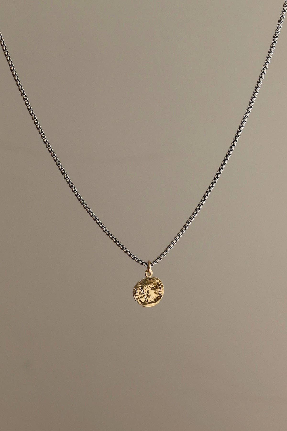 Solene Coin Necklace - Box Turtle