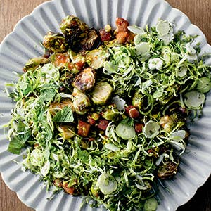 Soups, Salads, Sandwiches - Box Turtle