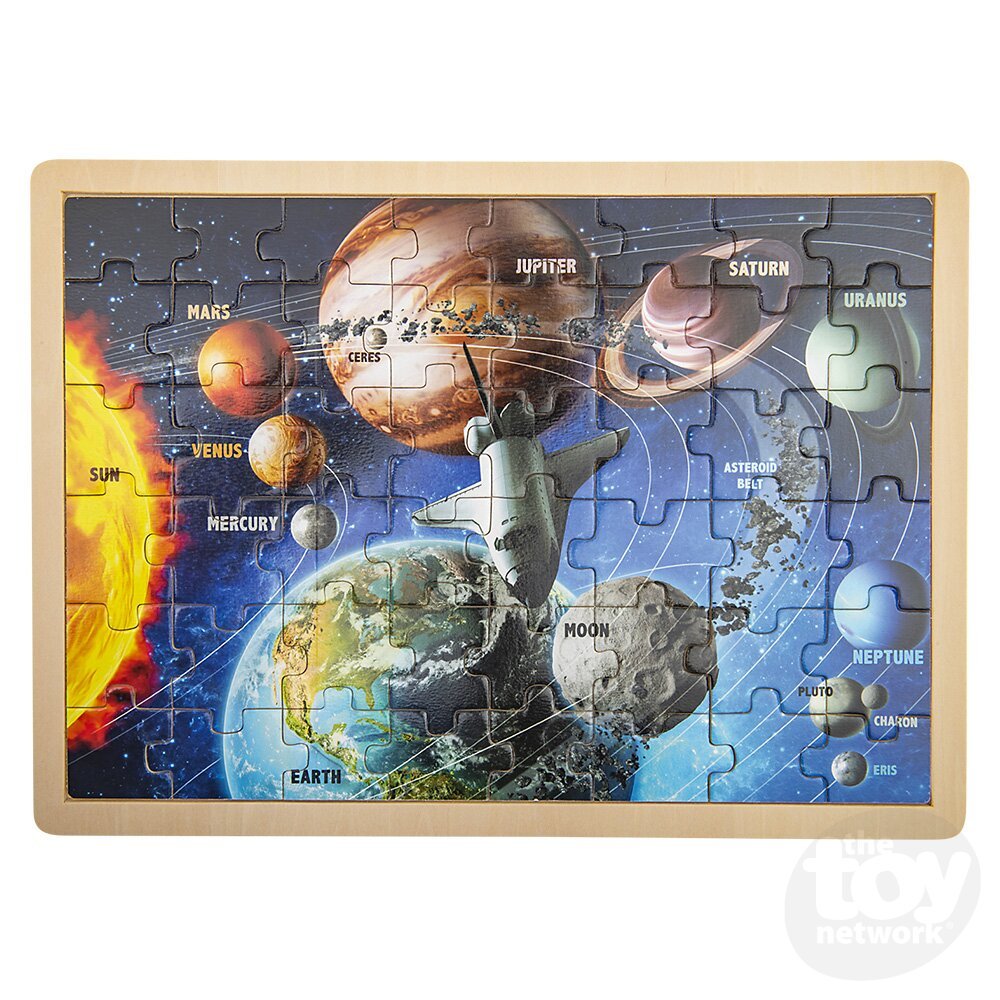 Space Puzzle - Box Turtle