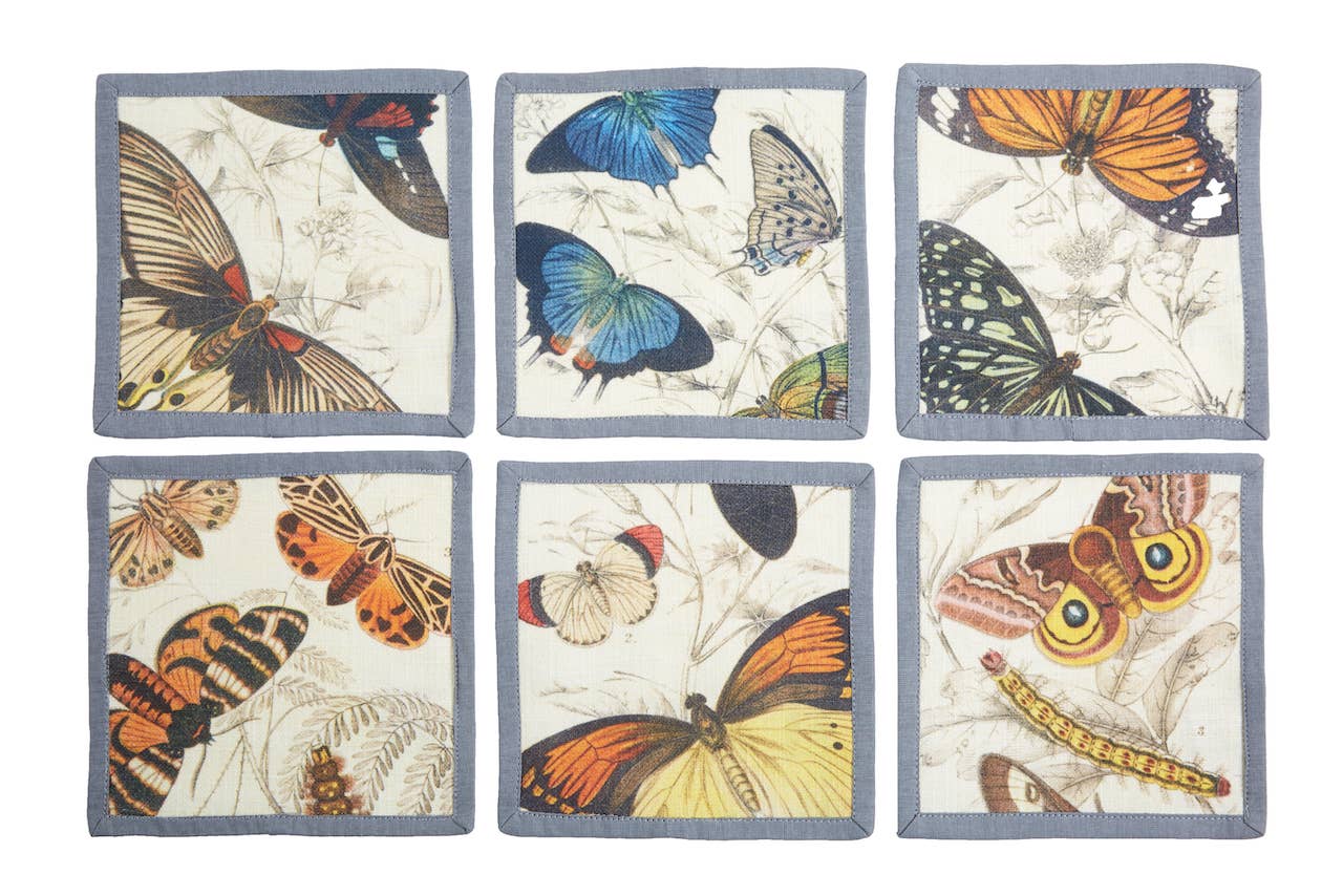 Specimen Cocktail Napkins - Box Turtle