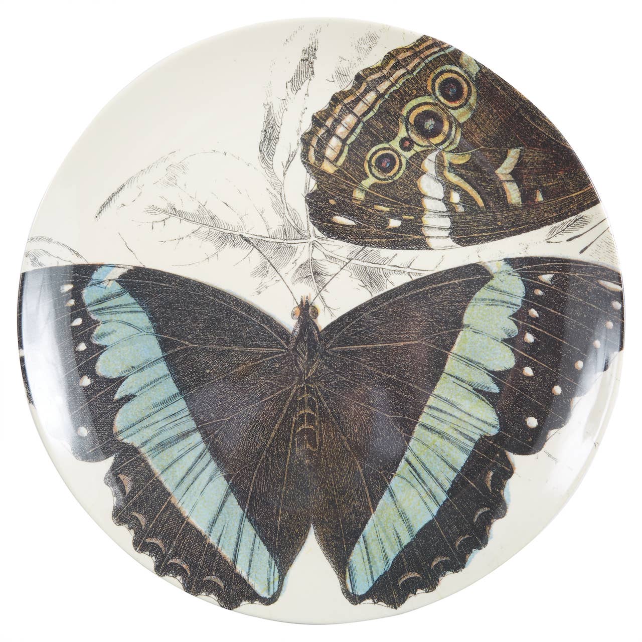 Specimen Large Round Tray - Box Turtle