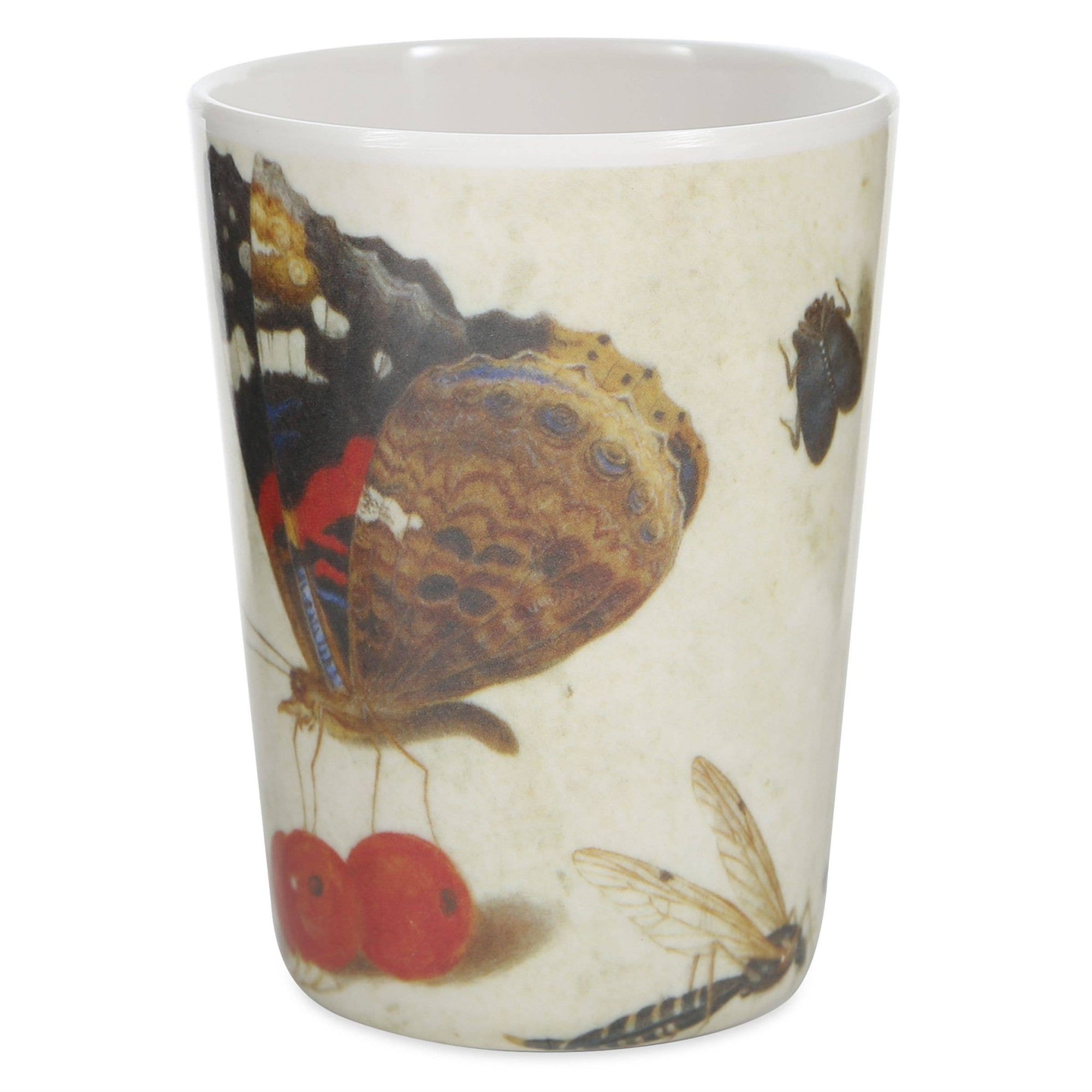 Specimen Tumblers - Box Turtle